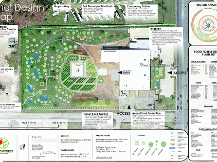 A Progression of Design at Food Forest Abundance