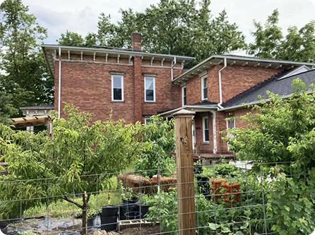 Homesteading - The How and Why