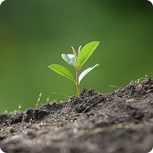 Professional soil fertility